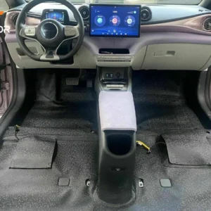 SÀN – THẢM BYD DOLPHIN 2024 - Thumbnail Image 5