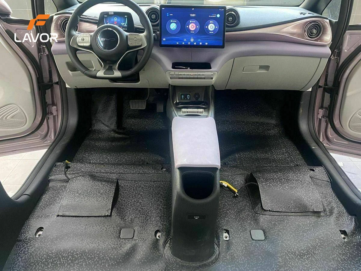 SÀN – THẢM BYD DOLPHIN 2024 - Ảnh 5
