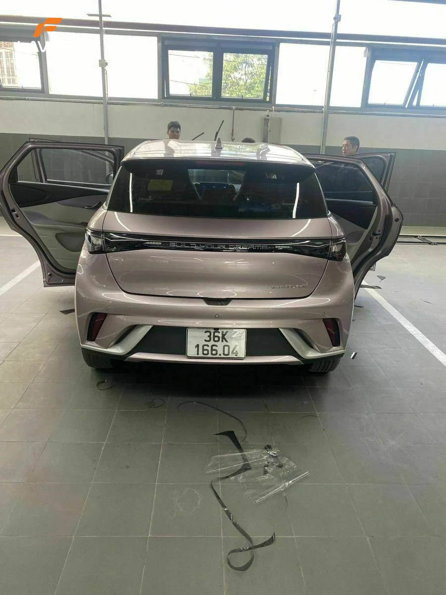 SÀN – THẢM BYD DOLPHIN 2024 - Ảnh 6